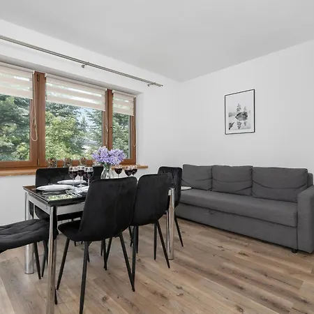 Blisko Centrum W Zakopanem By Renters Apartman *